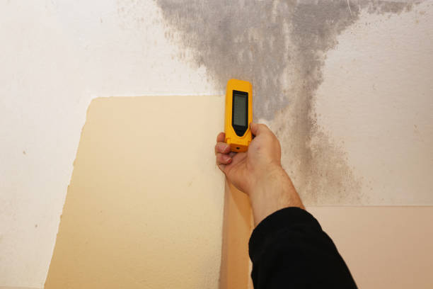 Dehumidification Services in Grand Rapids, MI
